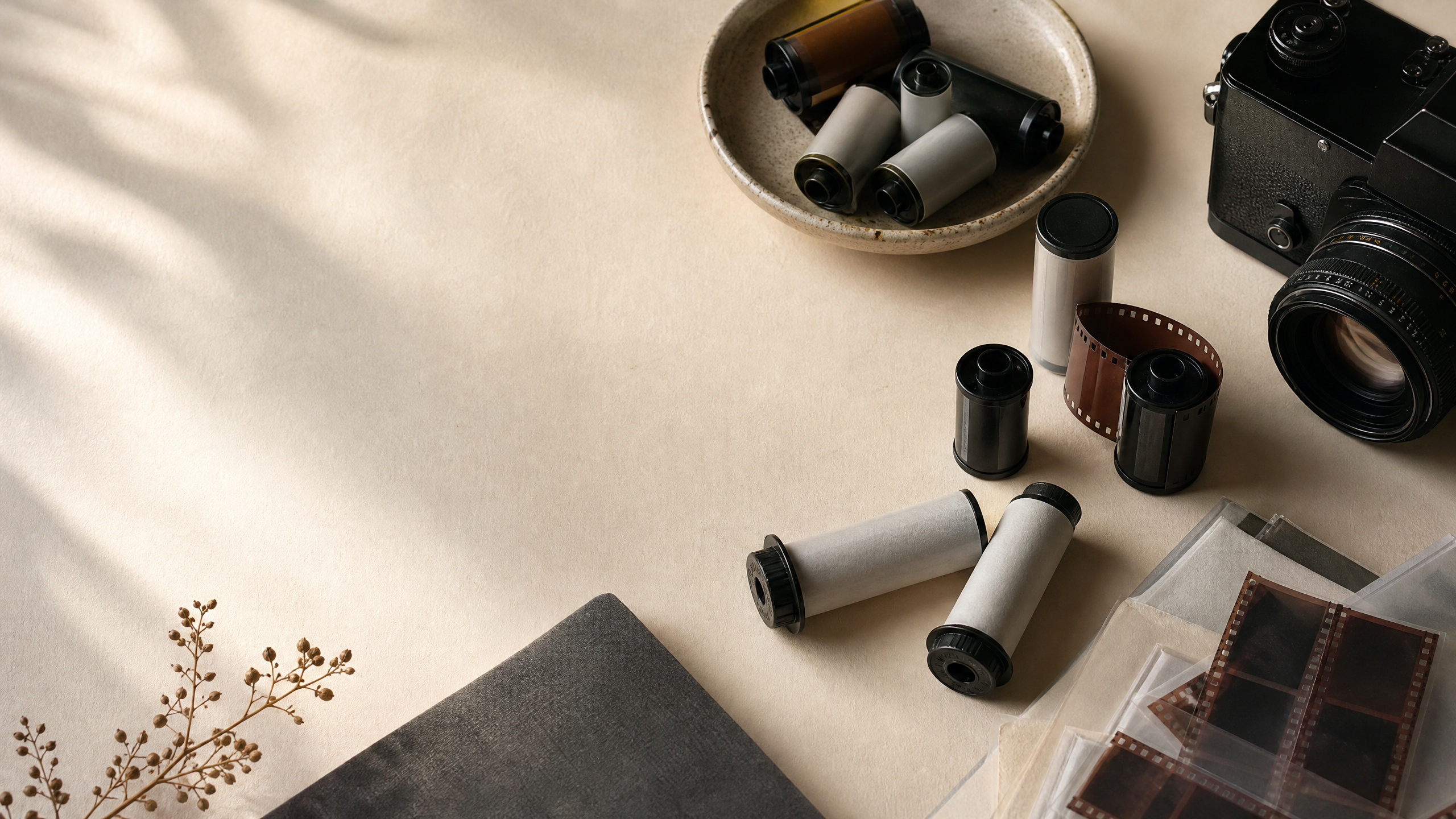 Analogue photography film rolls and warm studio light for Roll & Grain homepage